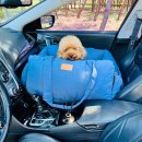 개과천선 이미지