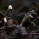 유레카 - 연제구 거제대로118번길 49 | 유레카