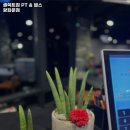 셀렉트짐 PT & 헬스 광화문점 | 서울특별시 종로구 헬스장 셀렉트짐 PT &amp; 헬스 광화문점 내용가격운영시간주차리뷰 알아보기