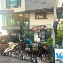 동행 in 협재 이미지