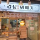 뚱보롱 이미지