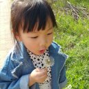 마망엘리펀트 - 안성시 공도로 51-23 | 마망엘리펀트