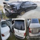 낙동강관리본부 대저생태공원 7 이미지