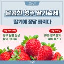 가산문화센터 | 문화제조창 청주 달콤상생 딸기 페스티벌 후기 _ 2025 논산딸기축제와 비교