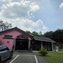 숲을 그리다 이미지