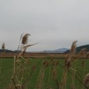 순흥농장 이미지