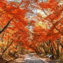 대구종합유통단지 산업용재관 이미지