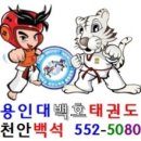 국가대표 백호 태권도장 | 옆집언니와 천안백석동태권도 알아보다가 천안 백호태권도에 방문했어요