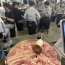 제주오라방거제 이미지