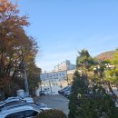 바위꽃 | 용인 바위꽃 굴보쌈정식 솔직 후기 (내돈내산)