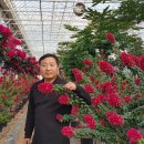 동백커피 이미지