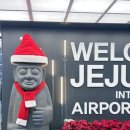 커피늘보 | [제주혼여행]여행후기/26년 첫 여행지 ‘JEJU/동진식당/운화당/늘보의 작업실/카멜커피/두툼회