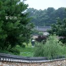 장원농장 Daum카페