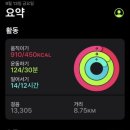 531카페