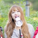 하니와 Daum카페