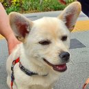 형제농장A 이미지