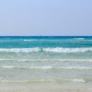 세화리해수욕장 이미지