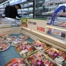 오늘참치 이미지