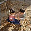 호수어린이집 이미지