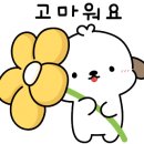 운봉초교 병설유치원 이미지