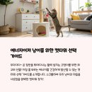 즐거움 쑥쑥 메타버스 놀이터 | 활발한 고양이를 위한 최고의 캣타워 5선
