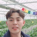 푸르른 농장 이미지