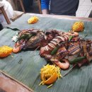 킹스PC방 2호점 | 캐나다 토론토 여행 파란여행과 함께했던 퀘백2박3일 스타트 !