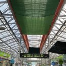 영해시장 이미지