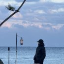 본부동 화장실 | 바다 1열 캠핑장 <명파오토캠핑장> 소개 합니다