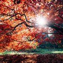 박현욱 행정사 사무소 이미지