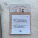 딥스온 | 포항 애견동반 카페 재즈와 어울리는 딥스온 내돈내산 솔직 후기