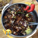 군산초등학교 | 군산 맛집 | 군산 3대 중국집 지린성 vs 빈해원 비교 (+맵기, 주차, 웨이팅 꿀팁)