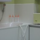 올리브펫 이미지