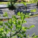 새순2농장 이미지