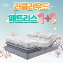 글로벌씨로스(주) 평택대학교 | ★라클라우드 헬스모션 매트리스 1+1 프로모션★