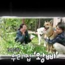 KBS 인간극장 &#34;우리집 왕빠&#34; 2부 심층 분석 - 눈물과 감동의 가족 이야기 🥺💙