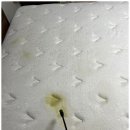 마스터클린 이미지