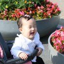 강이은 카카오 검색결과