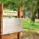 학생야영장 옆 이미지