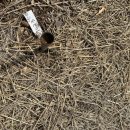 만산농장 이미지