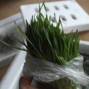 최성훈농장 이미지