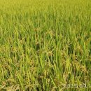 영주농장 이미지