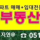 다송초등학교병설유치원 이미지