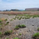 정동고등학교 이미지