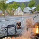 마님닭발 이미지