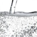 마이푸드 이미지