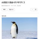 더민제이