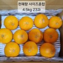 뙤미감성농장