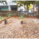 궁현어린이공원 이미지