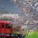 모네정원 이미지